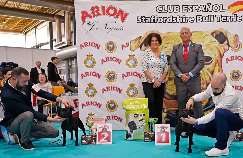 CH. samross Making dreams (import uk) - 2éme/ 40