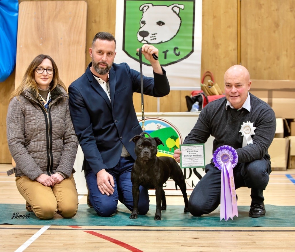 CH. samross Making dreams (import uk) - 2nd / RBCC