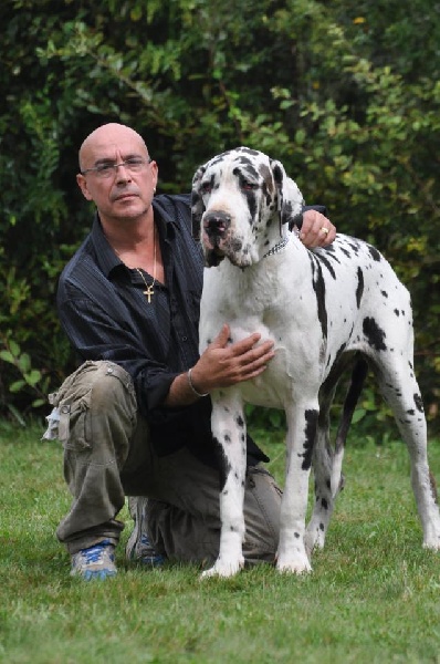 First love du domaine de Gauvin - Tres bon