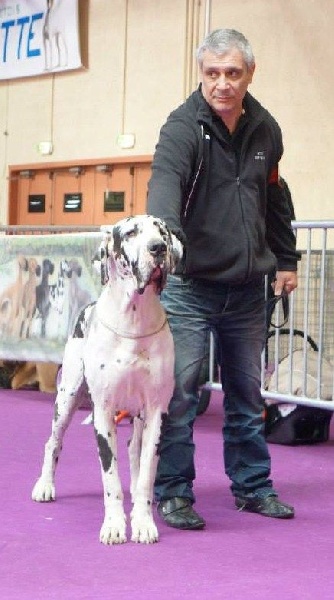 First love du domaine de Gauvin - 2 eme Excellent RCACS