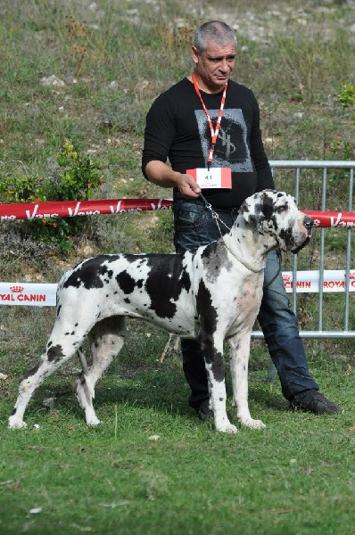 First love du domaine de Gauvin - 2eme Excellent +