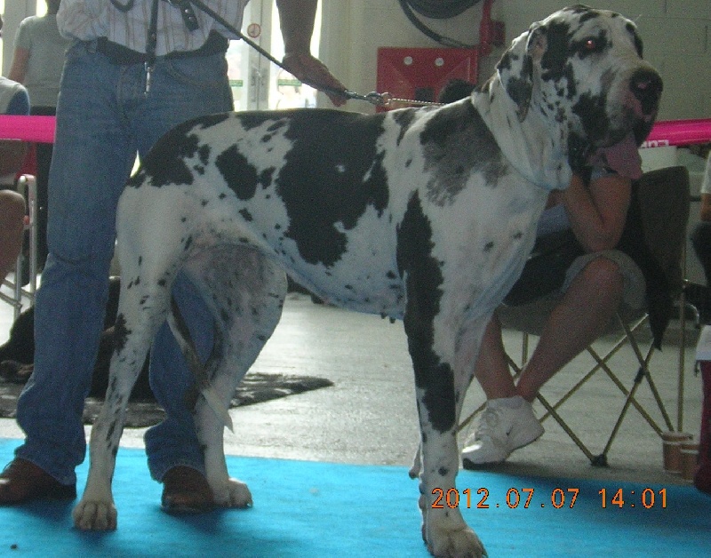 First love du domaine de Gauvin - Excellent