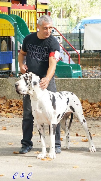 First love du domaine de Gauvin - 2 eme Excellent +