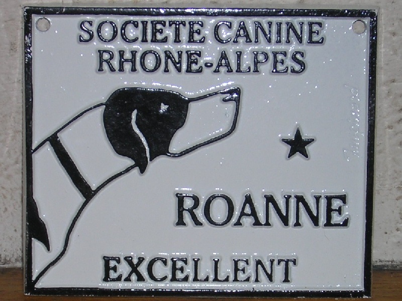 First love du domaine de Gauvin - 3 éme Excellent