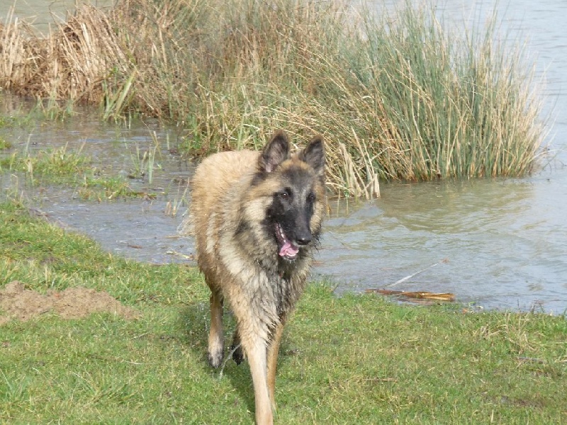 Ivana Du Domaine De L'avenir