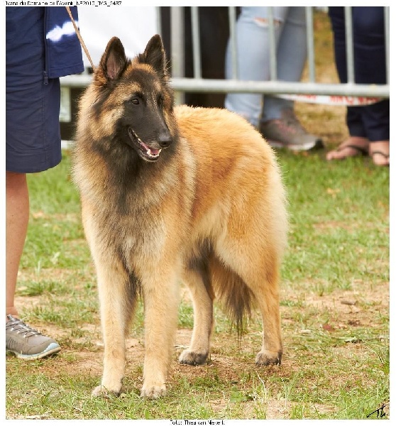 Ivana Du Domaine De L'avenir