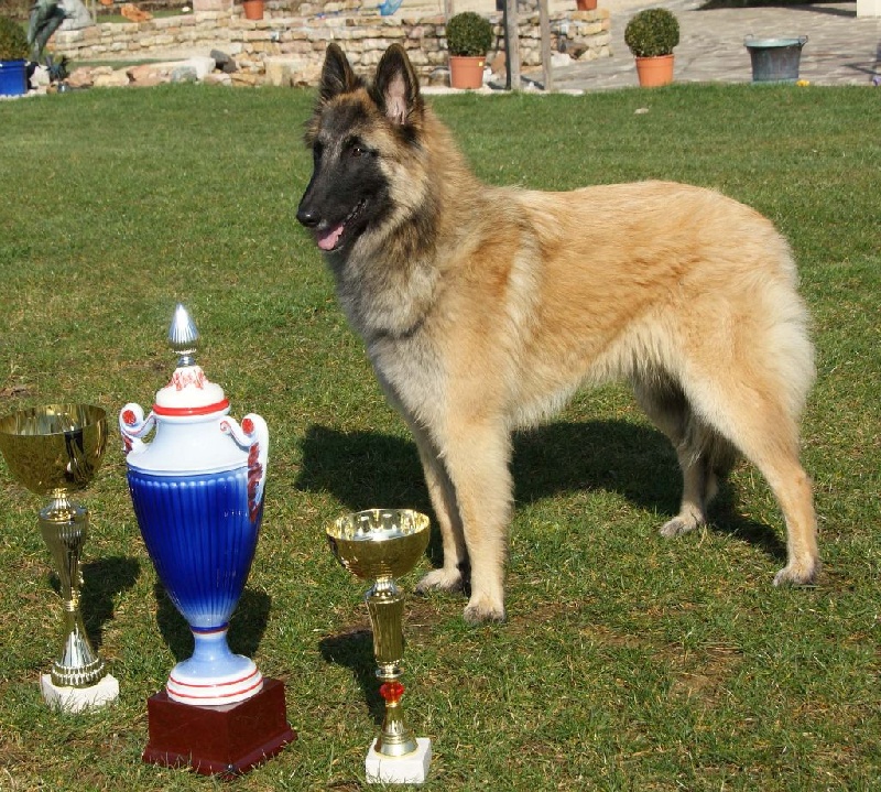 Ivana Du Domaine De L'avenir