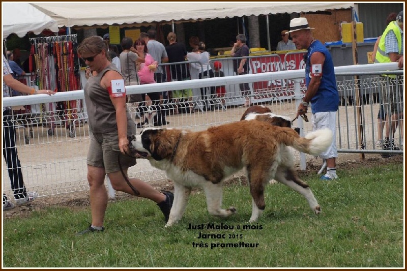 Just-malou De La Montagne Aux Mil'pat - très prometteur