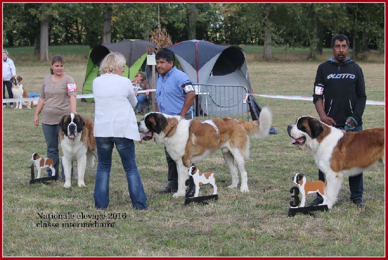 Just-malou De La Montagne Aux Mil'pat - 1er classe intermédiaire PL
