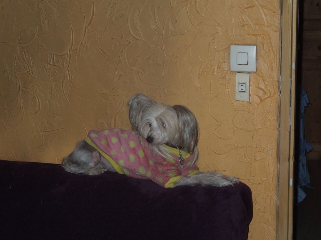 Jaymee lee Du Domaine Forever Young