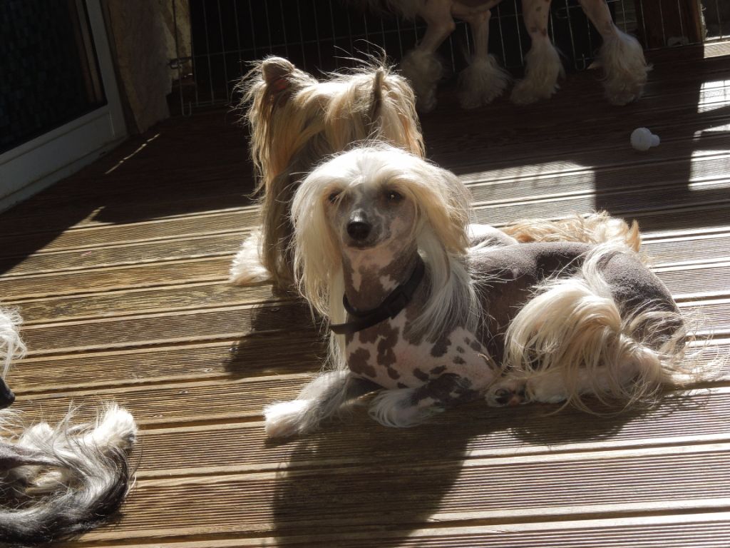 Jaymee lee Du Domaine Forever Young