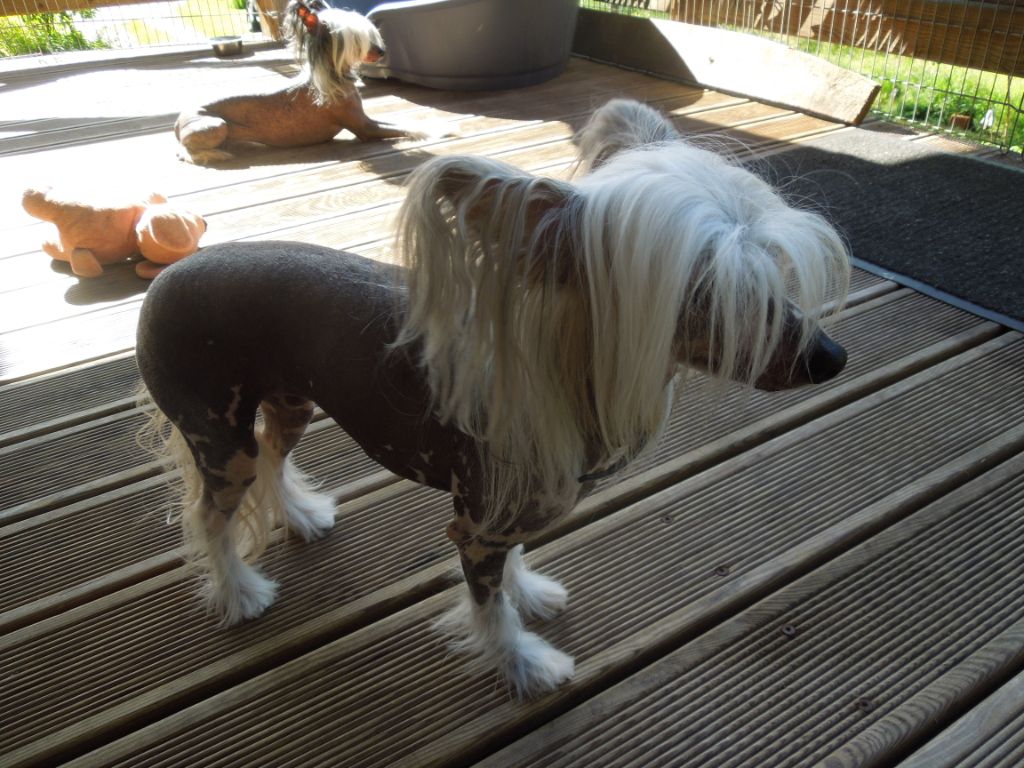 Jaymee lee Du Domaine Forever Young