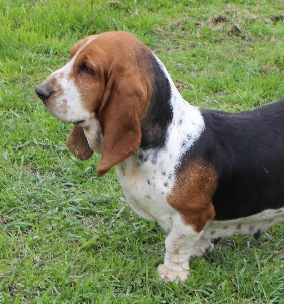 Publication : De La Flamme Sacrée D'Hestia