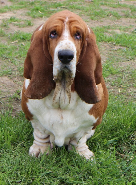 Publication : De La Flamme Sacrée D'Hestia