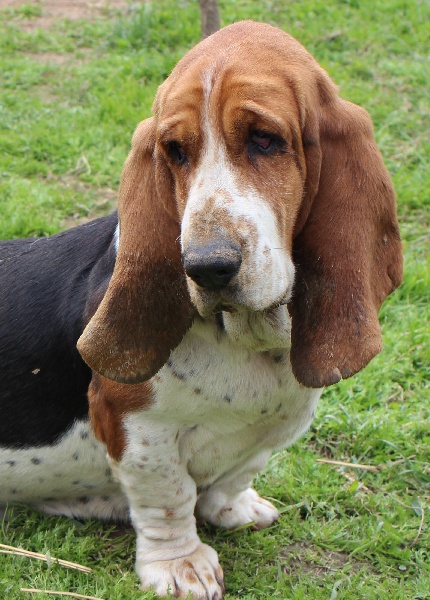 Publication : De La Flamme Sacrée D'Hestia