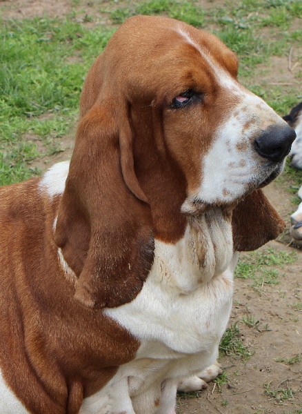 Publication : De La Flamme Sacrée D'Hestia