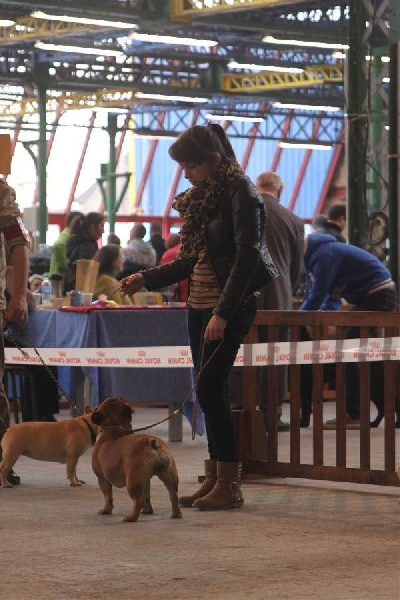 Kléa bella Malevarc Occhi d'Amore - 2 éme excellent classe Inter