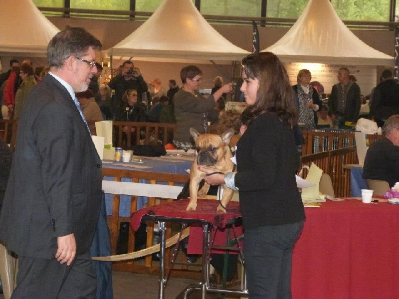 Kléa bella Malevarc Occhi d'Amore - Excellent non classé en classe intermédiaire