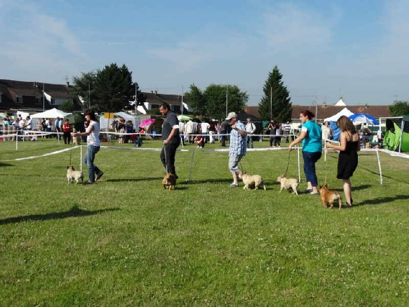 Kléa bella Malevarc Occhi d'Amore - 3 éme excellent classe ouverte