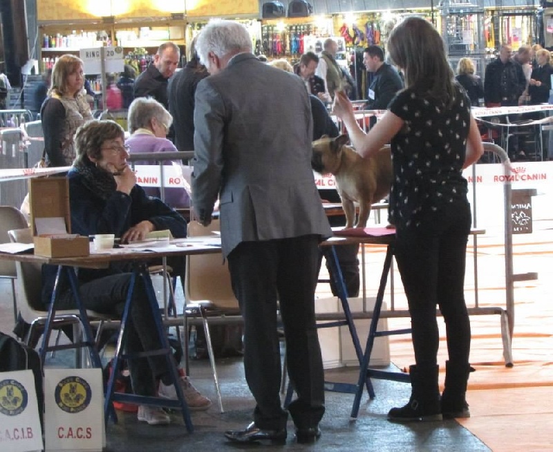 Héliya bella De L'Esprit D'Okami - 2éme excellent.