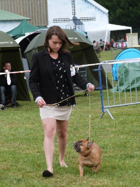 Kléa bella Malevarc Occhi d'Amore - 1 ére Excellente + CACS CLASSE OUVERTE