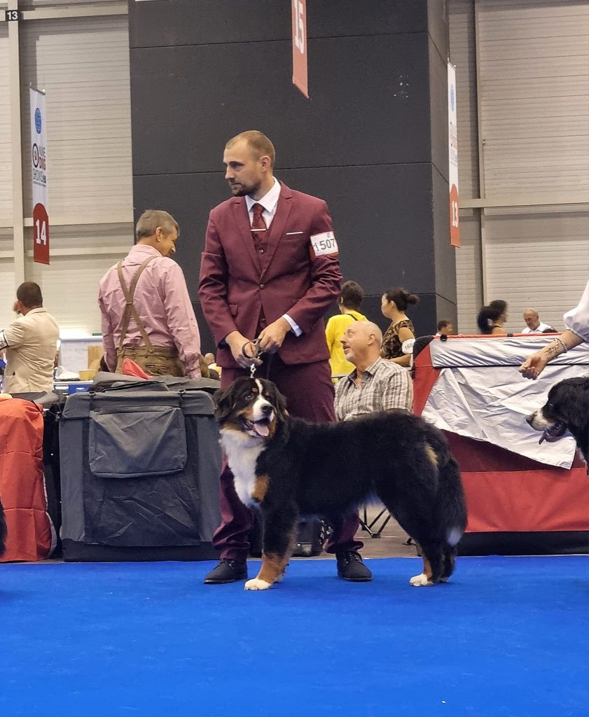 Twilight Du Domaine De La Lune Rousse - GRAND PRIX DE GENENE - 3ème Excellent