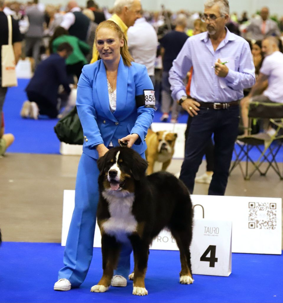 Twilight Du Domaine De La Lune Rousse - CHPT DU MONDE - 4ème Excellent