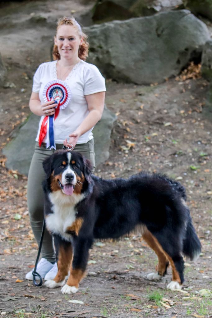 Twilight Du Domaine De La Lune Rousse - 1ere excellent CACS Jeune