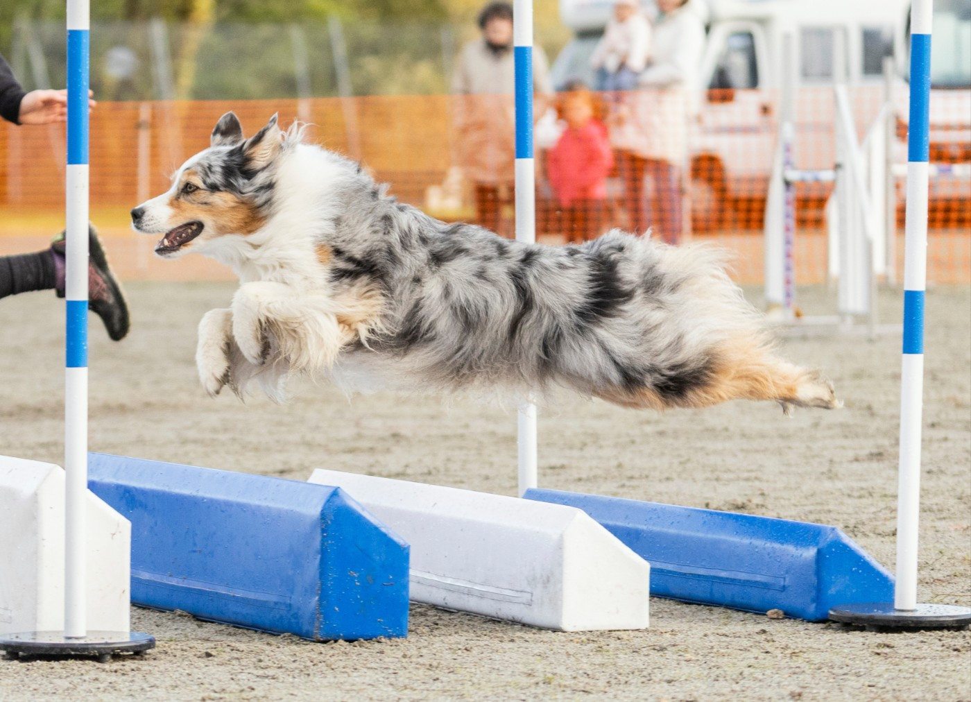 N-joy life des cimes de Pyrène