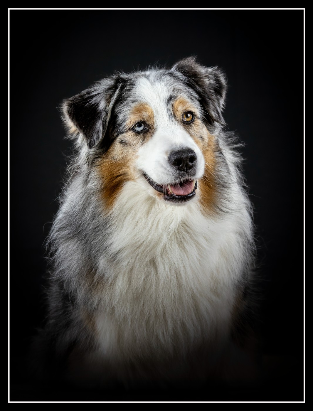 N-joy life des cimes de Pyrène