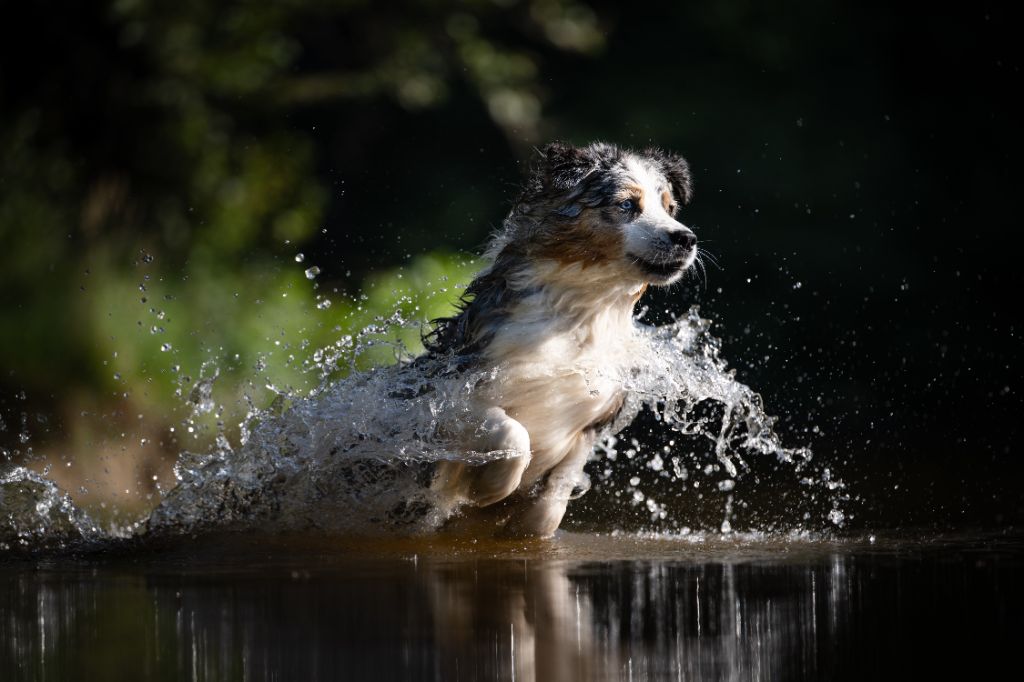 N-joy life des cimes de Pyrène