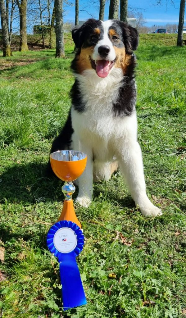 Synaï black De L'étoile Des Louves - TRES PROMETTEUR en CPF