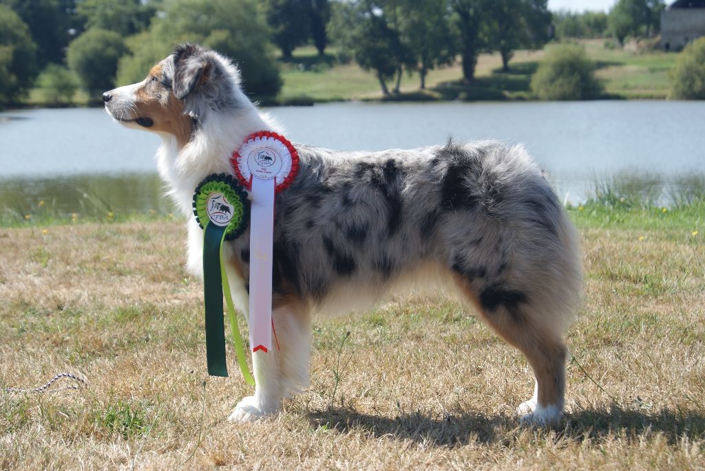 N-joy life des cimes de Pyrène - 3ème EXCELLENT en CIF