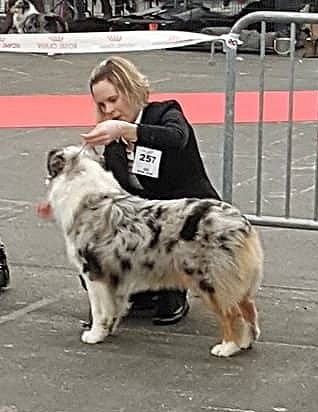 N-joy life des cimes de Pyrène - TRES PROMETTEUR en CPF