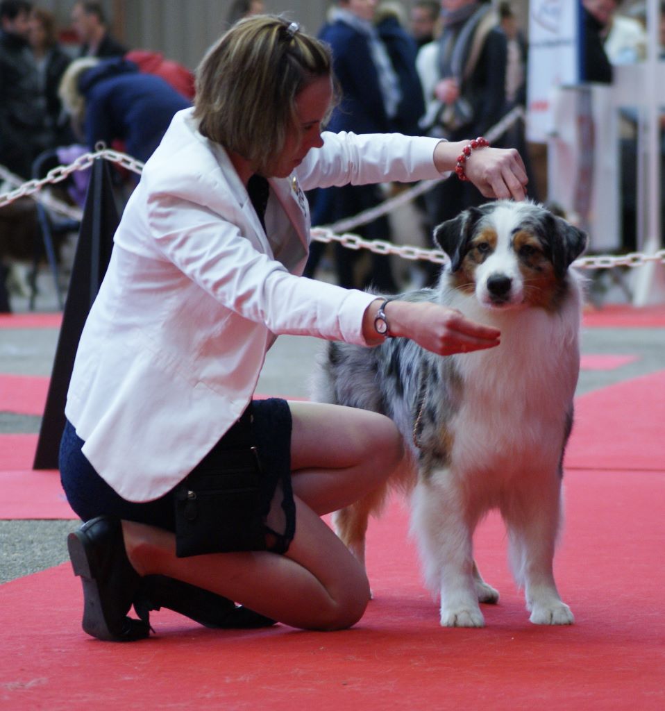 N-joy life des cimes de Pyrène - Très Bon NC en COF