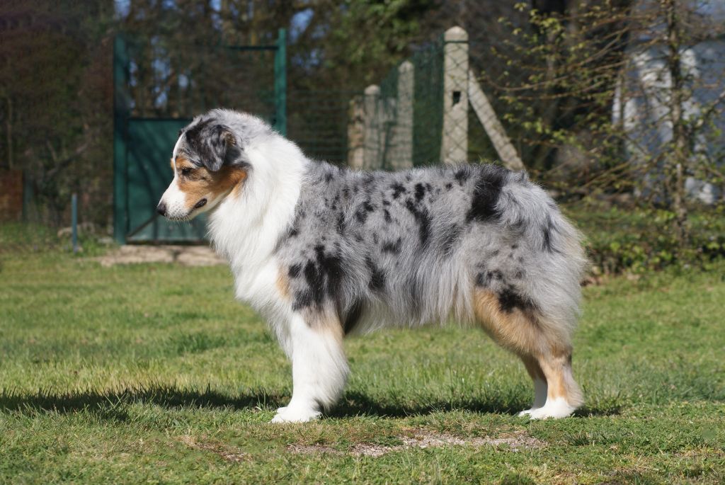 N-joy life des cimes de Pyrène - 4ème EXCELLENT en COF