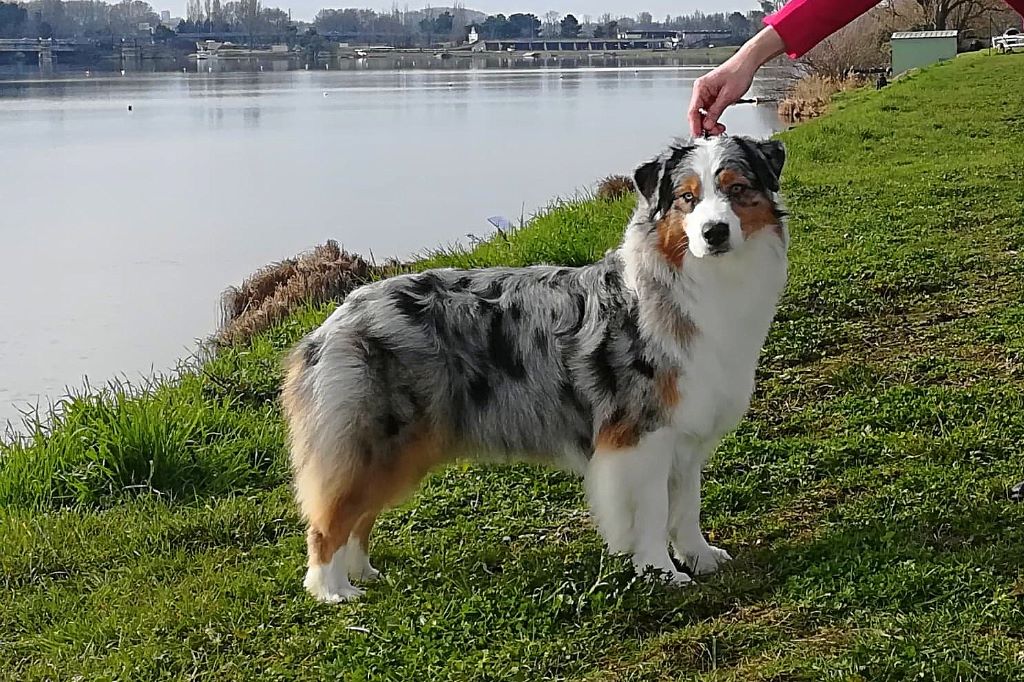 N-joy life des cimes de Pyrène - EXCELLENT NC en CIF