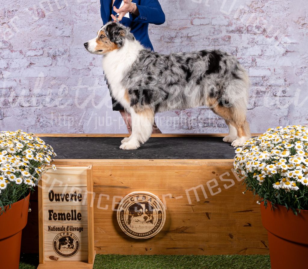 N-joy life des cimes de Pyrène - Très bon NC en COF