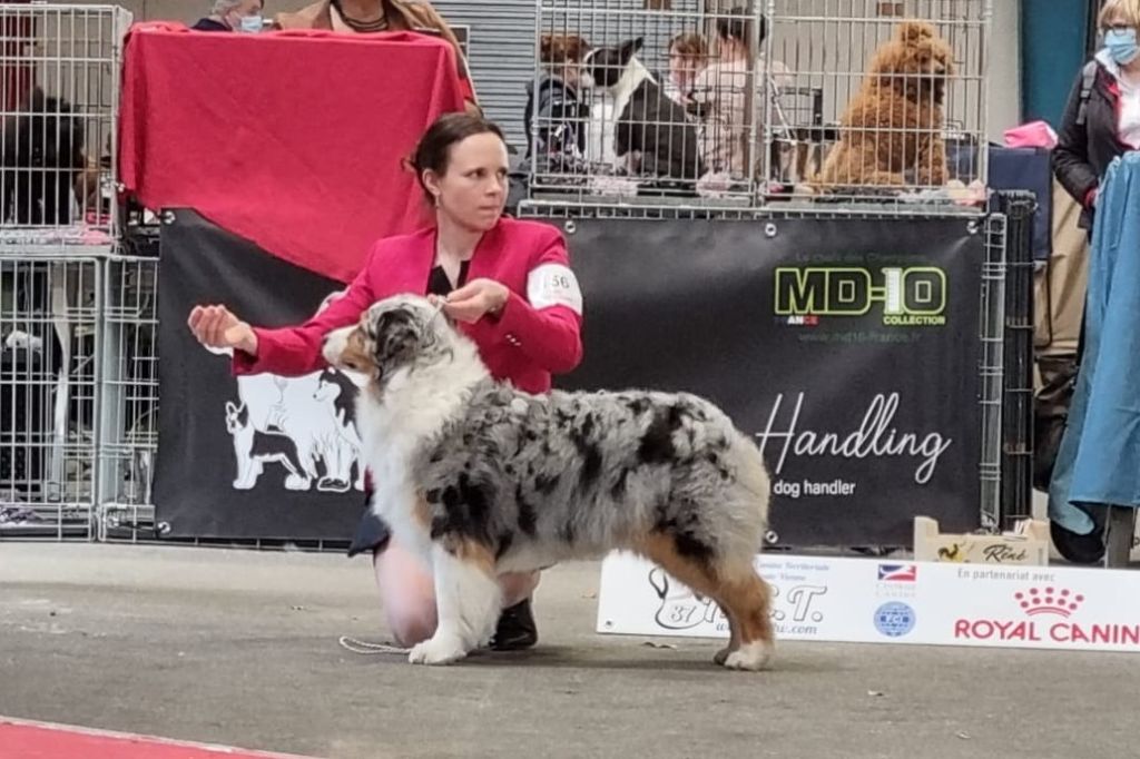 N-joy life des cimes de Pyrène - EXCELLENT NC en COF