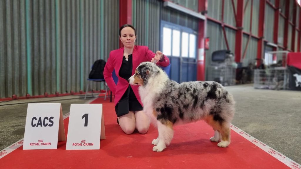 N-joy life des cimes de Pyrène - 1ERE EXCELLENT + C.A.C.S + B.O.S. en COF