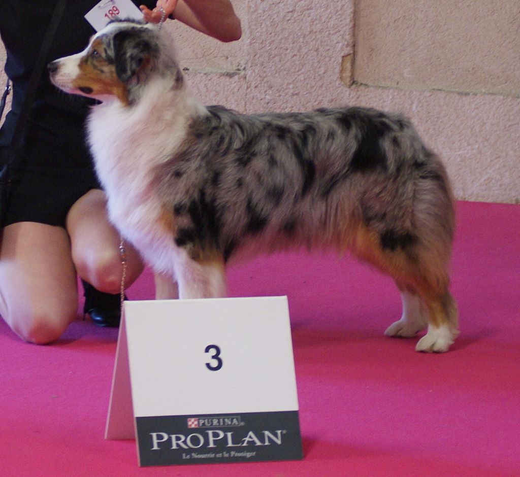 N-joy life des cimes de Pyrène - 3ème EXCELLENT en CIF