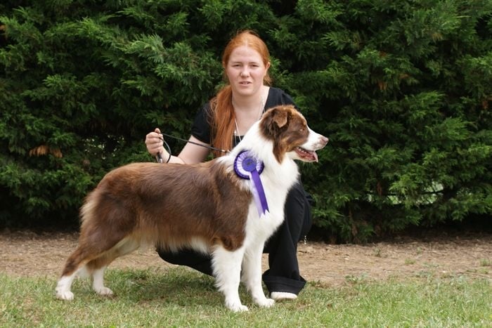 Publication : Loutchi Des Rioux Auteur : Bonnevialle Marie