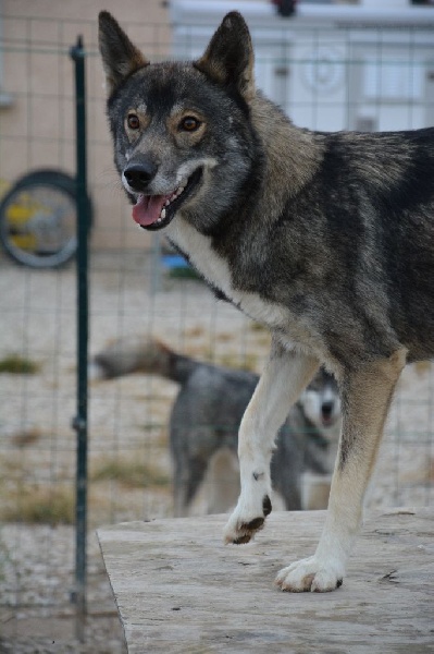 Publication : Of Blue Skunky