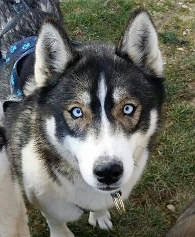 Publication : Of Blue Skunky