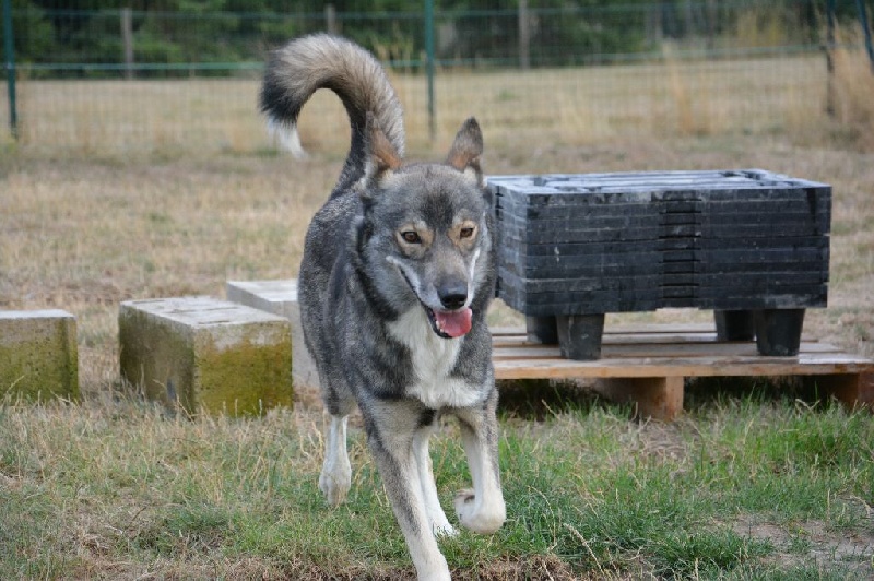 Publication : Of Blue Skunky