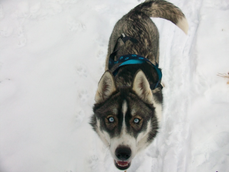 Publication : Of Blue Skunky