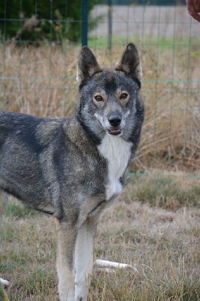 Publication : Of Blue Skunky