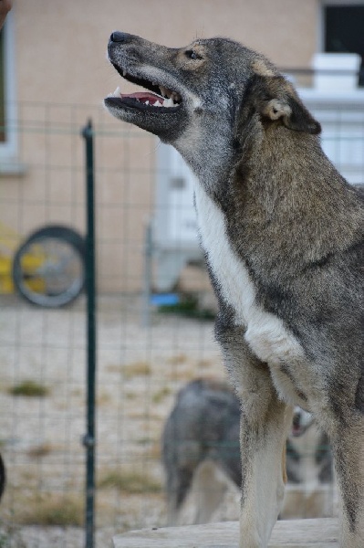 Publication : Of Blue Skunky