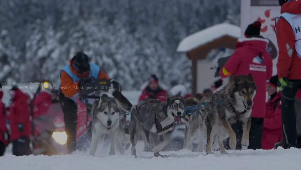 Mystik Of Blue Skunky - La Grande Odyssée 2019 Trophée Région Auvergne Rhône Alpes classement 4ème