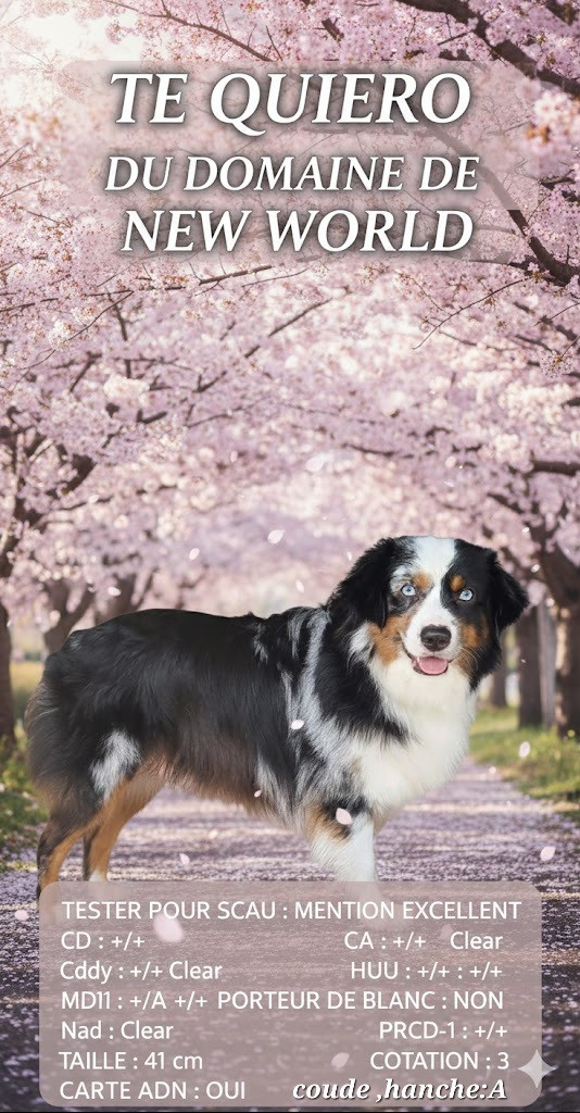 Te quiro du domaine de new world